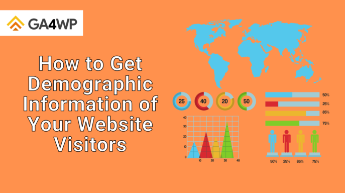 How to Get Demographic Information of Your Website Visitors Banner